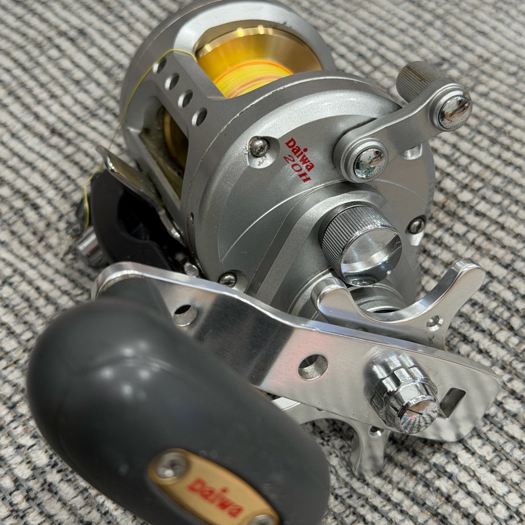 Daiwa 20h Silver & Gold Round Baitcasting Reel